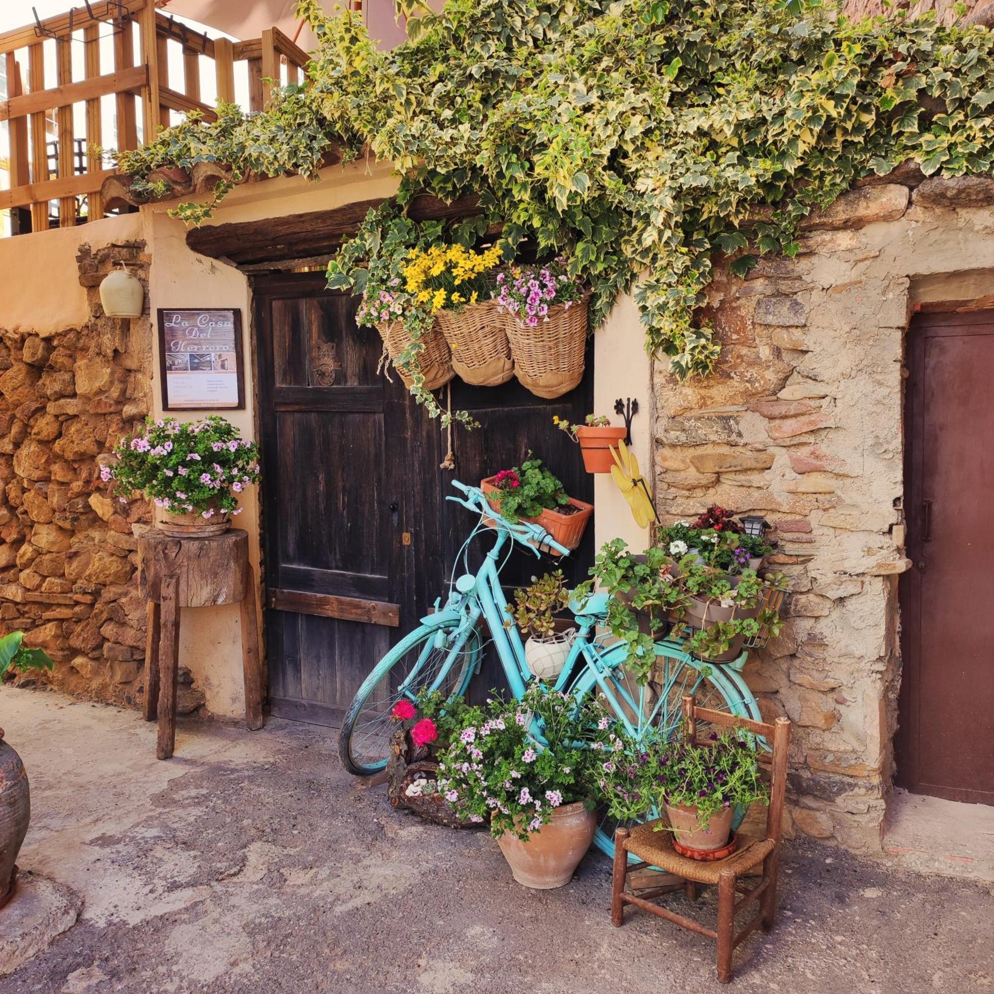 Villanueva de ViverAlcoba Con Patio Del Siglo XIX别墅 外观 照片